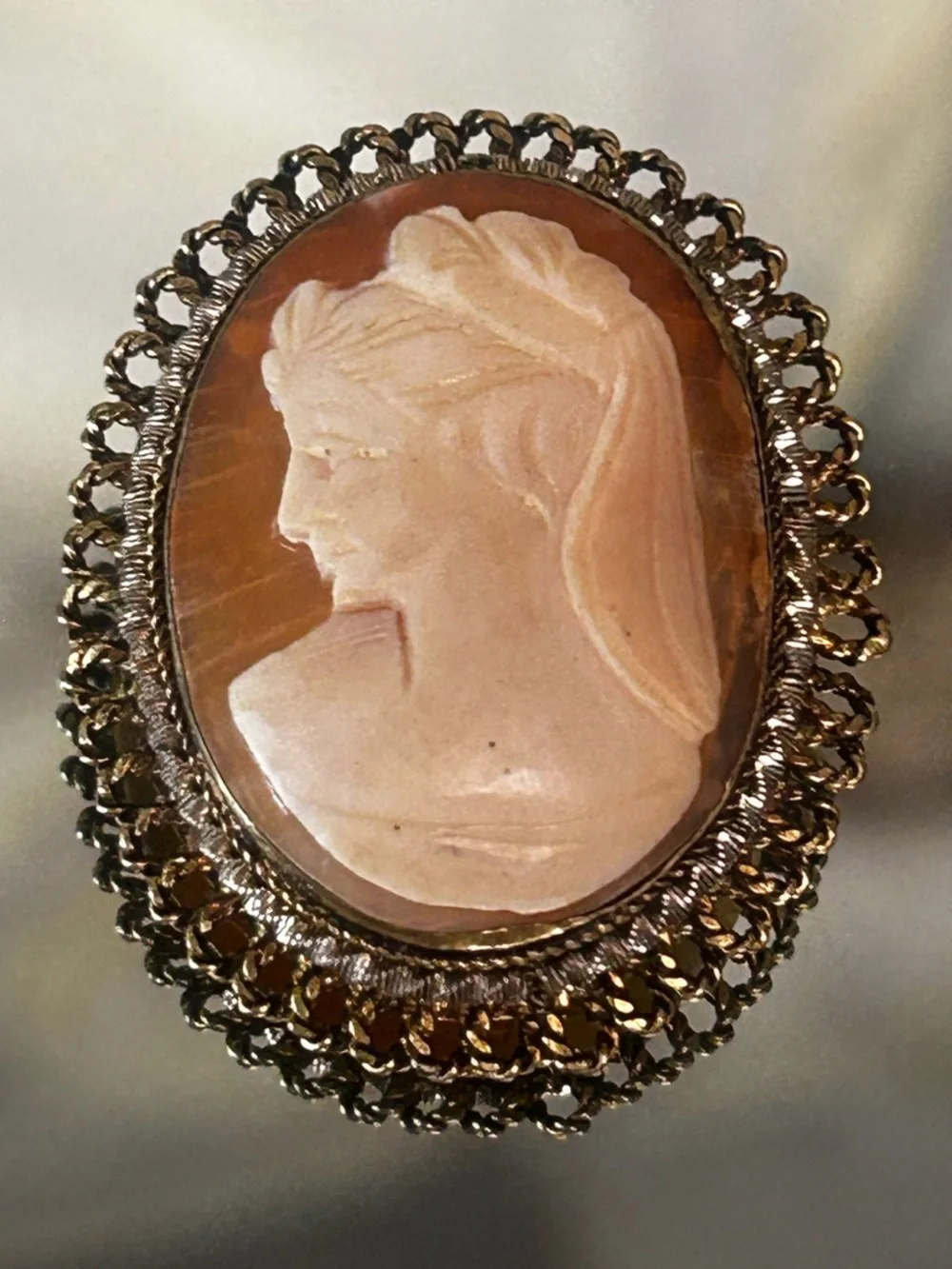 Vintage Cameo Brooch or Pendant with Gold Filled Accents